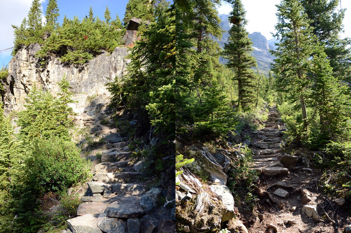 12 The Lake Oesa Trail Climbs Steeply From Lake O-Hara Morning